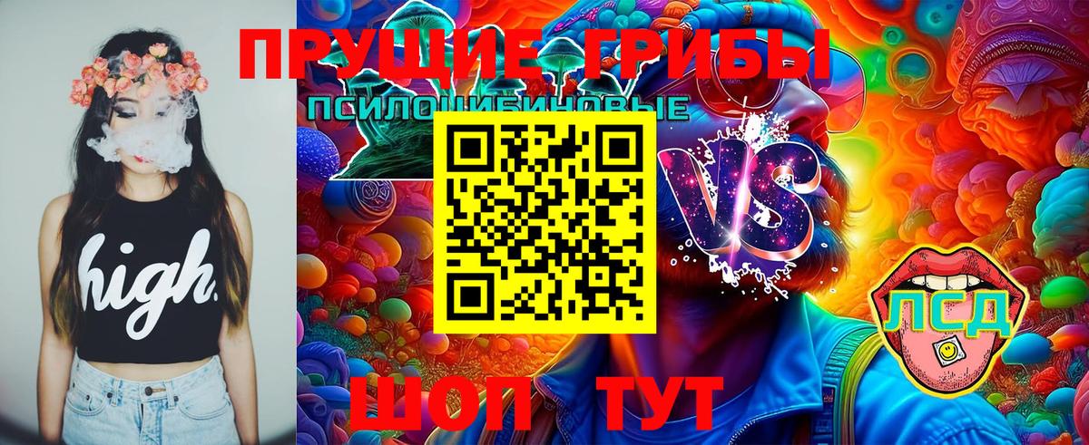Тобольск  Псилоцибиновые грибы MAGIC MUSHROOMS  Вход с VPN 