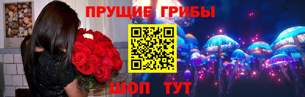 Псилоцибиновые грибы GOLDEN TEACHER Тобольск